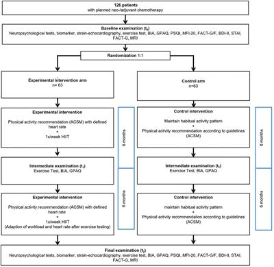 Protocol for the Exercise, Cancer and Cognition – The ECCO-Study: A Randomized Controlled Trial of Simultaneous Exercise During Neo-/Adjuvant Chemotherapy in Breast Cancer Patients and Its Effects on Neurocognition